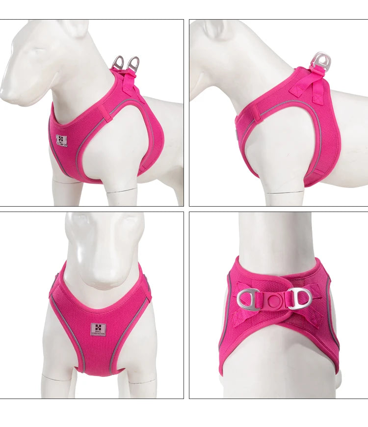 Reflective Dog & Cat Harness with Leash Set
