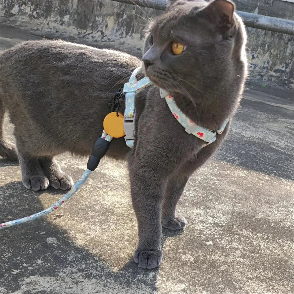 Floral Print Harness & Leash Set for Cats & Small Dogs