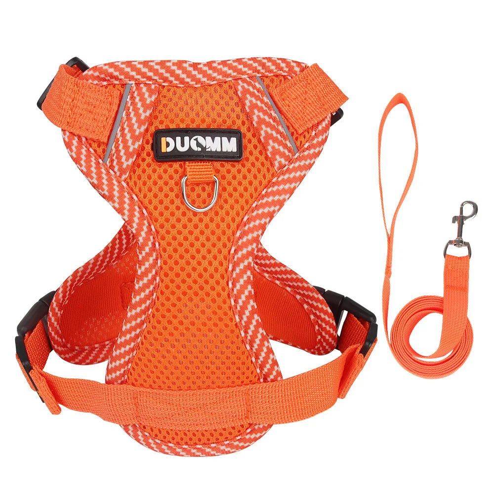 Reflective Mesh Cat & Dog Harness with Leash Set