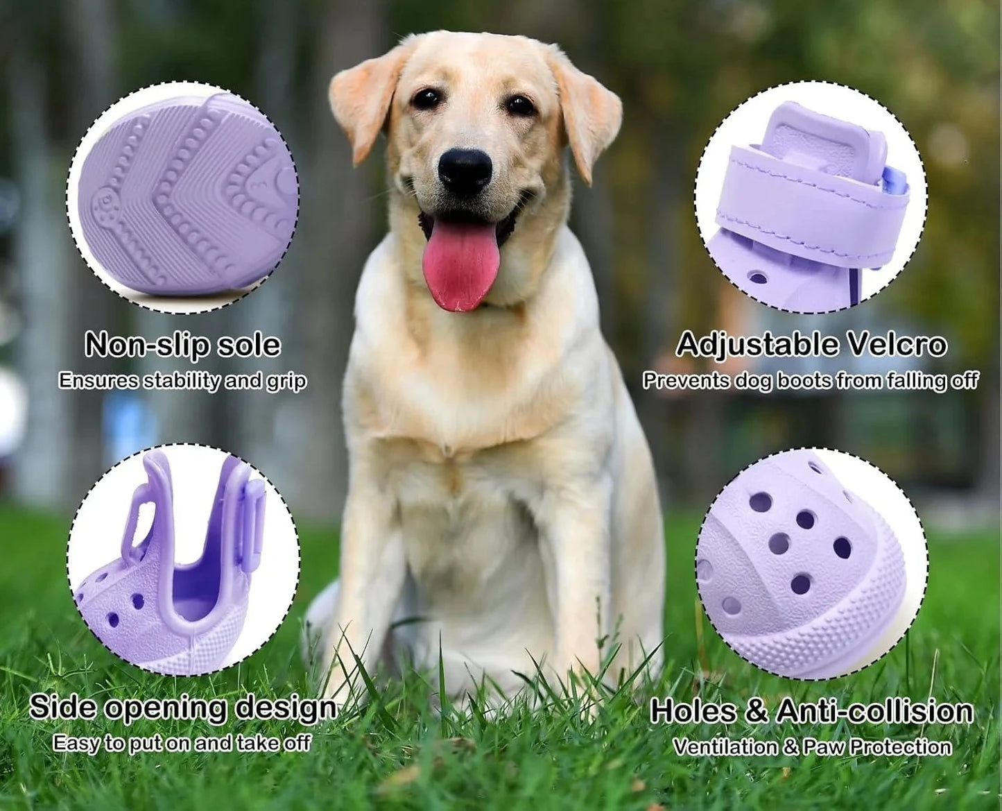 Chaussures pour chien pour trottoir chaud