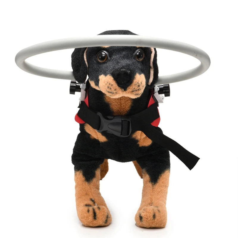 Anti-Collision Halo Collar for Blind & Visually Impaired Dogs