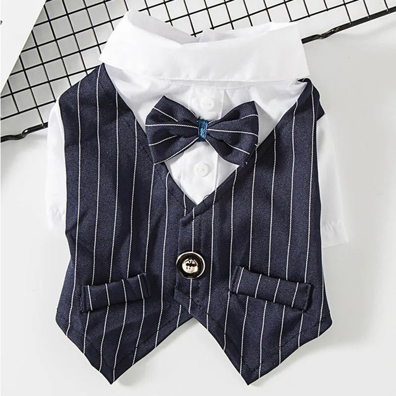 Striped Tuxedo Jacket with Bow for Small Dogs & Cats