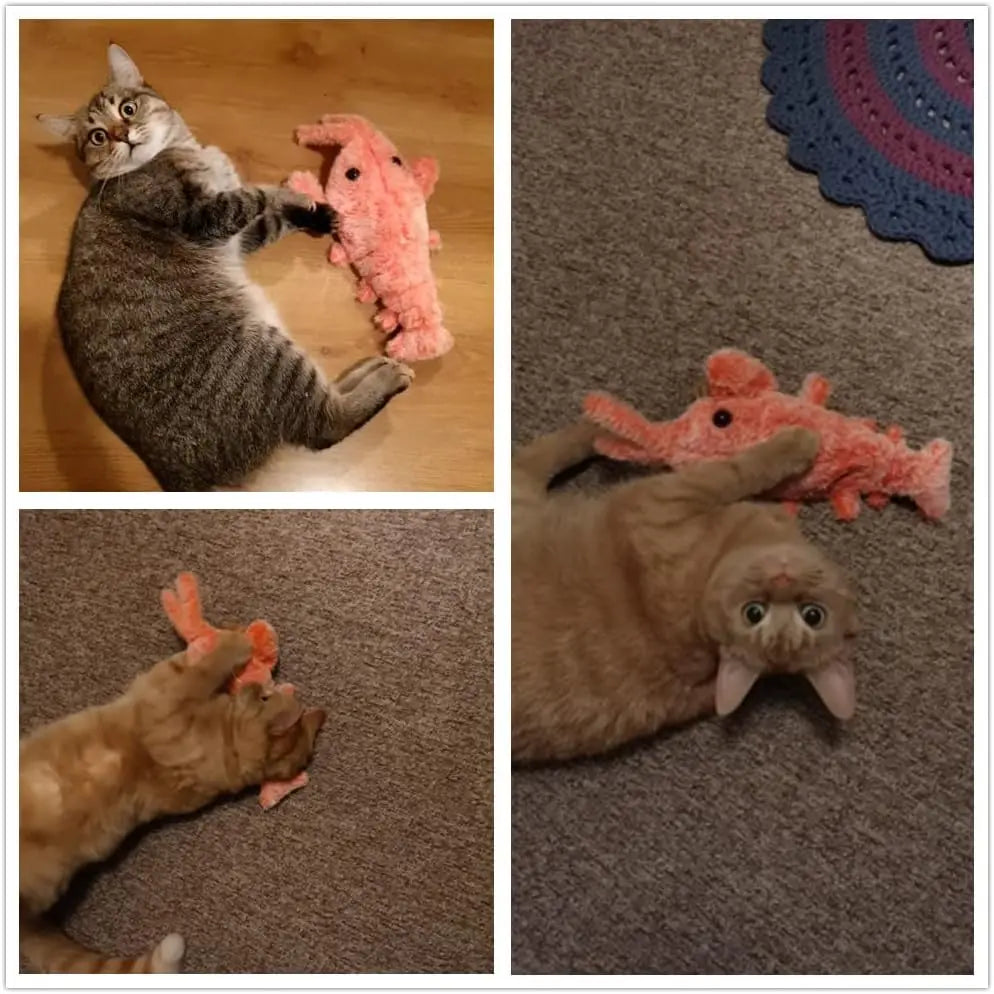 Jouet interactif électrique sauteur pour chat avec herbe à chat