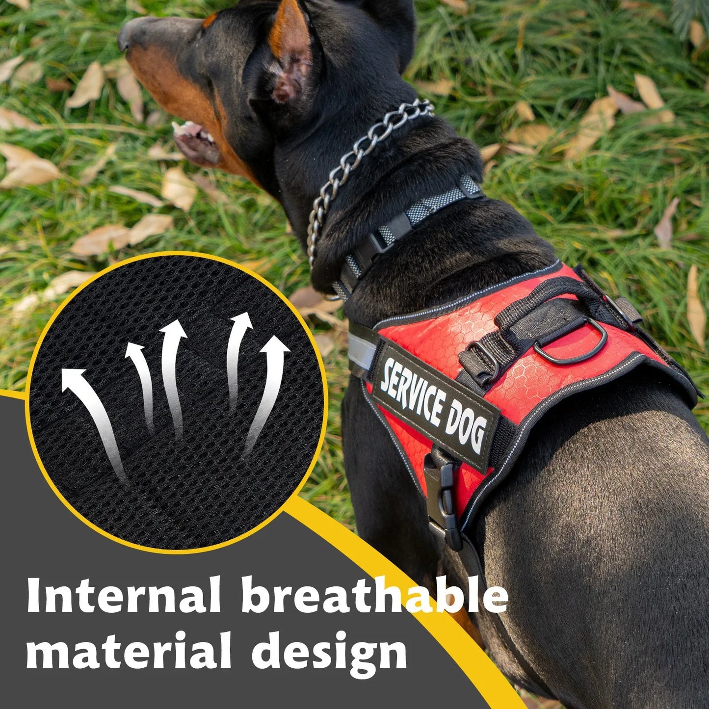 Harnais de poitrine pour chien | Boucle à dégagement rapide pour chiens de taille moyenne et grande