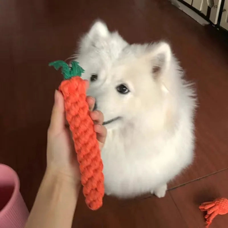 Puppy Dog Chew Toys Ropes Bite-resistant Molar Stick for Small Dogs Chihuahua French Bulldog Cleaning Teeth Toy Pet Accessories