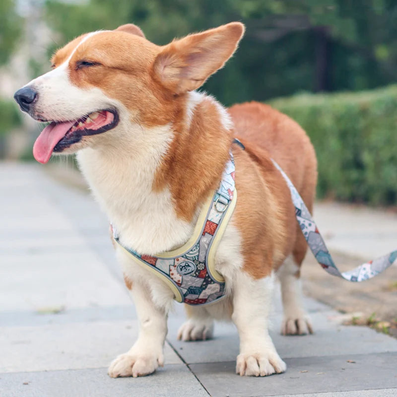 Adjustable Dog Harness & Leash Set