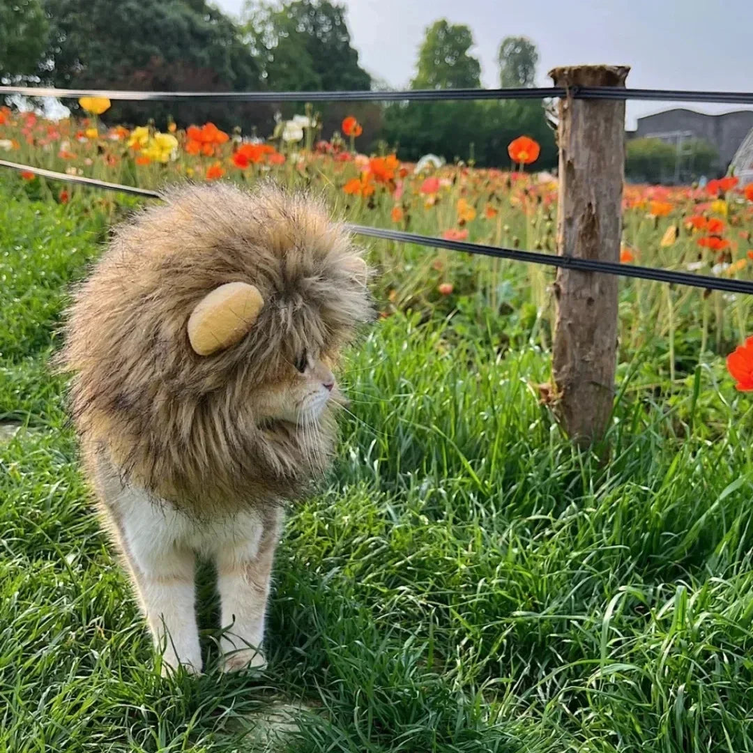 Lion Mane Pet Costume for Dogs and Cats
