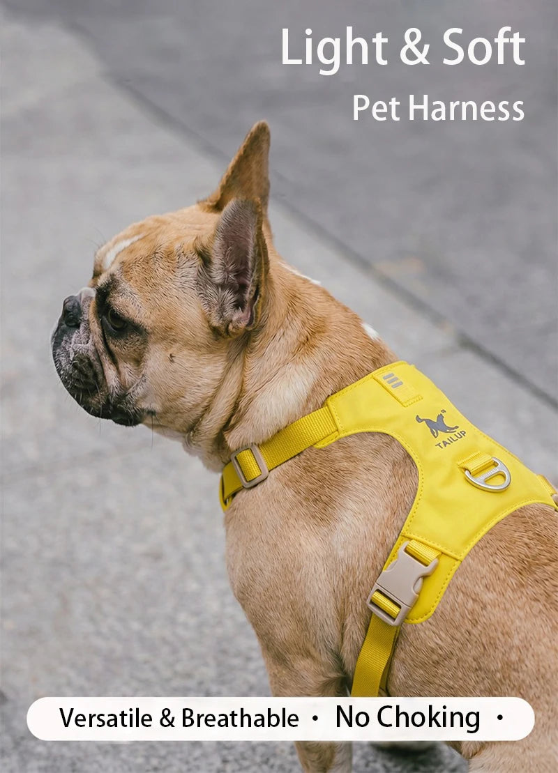 Lightweight Dog Harness & Leash Set Anti-Pull Escape-Proof Pet Walking Lead for Small Medium Large Dogs