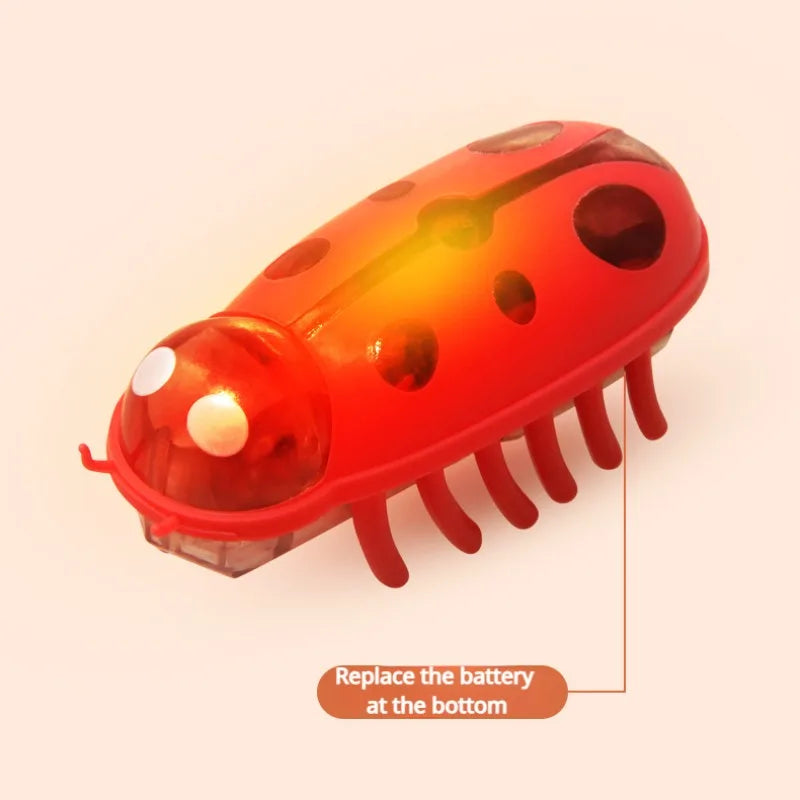 Electronic Cat Bug & Mouse Toys