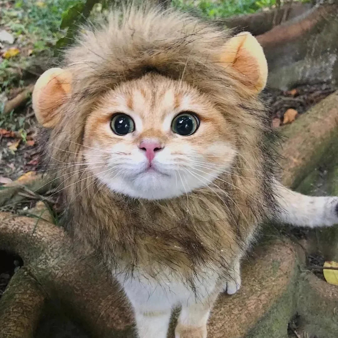 Lion Mane Pet Costume for Dogs and Cats