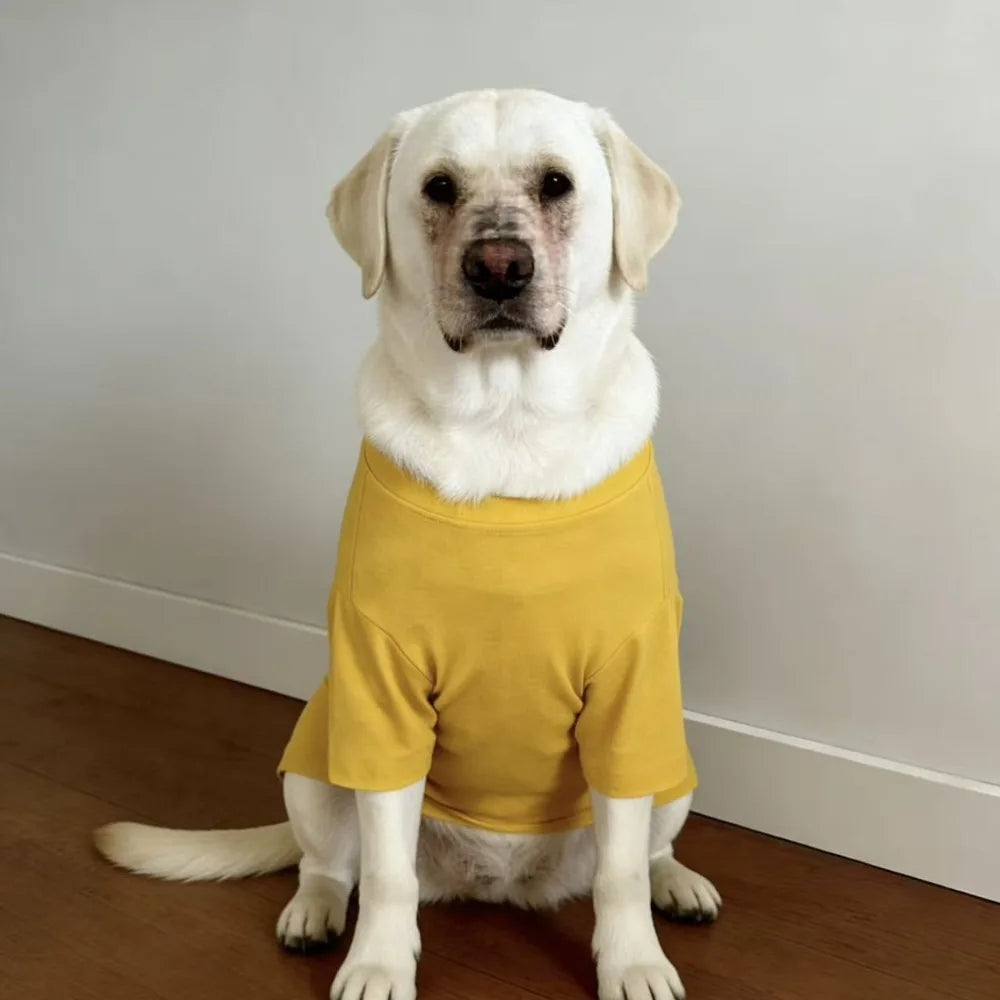 Soft Breathable Dog Cooling Vest Shirt | Casual Summer Top for Medium & Large Dogs