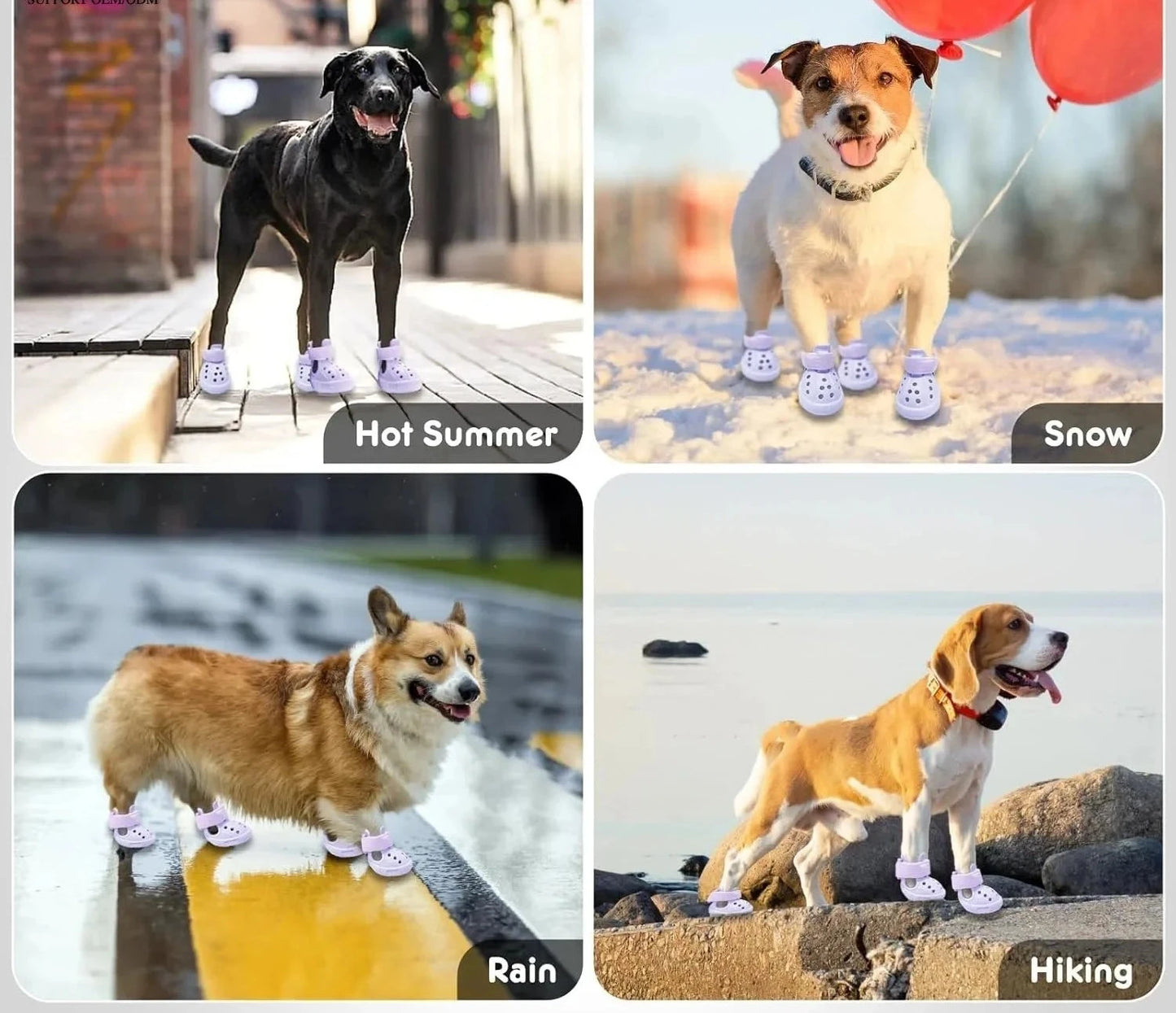 Chaussures pour chien pour trottoir chaud