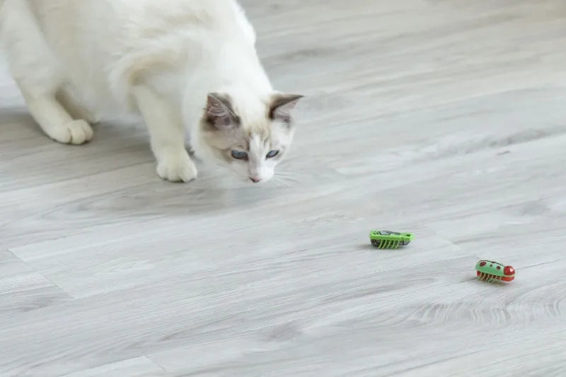 Electronic Cat Bug & Mouse Toys