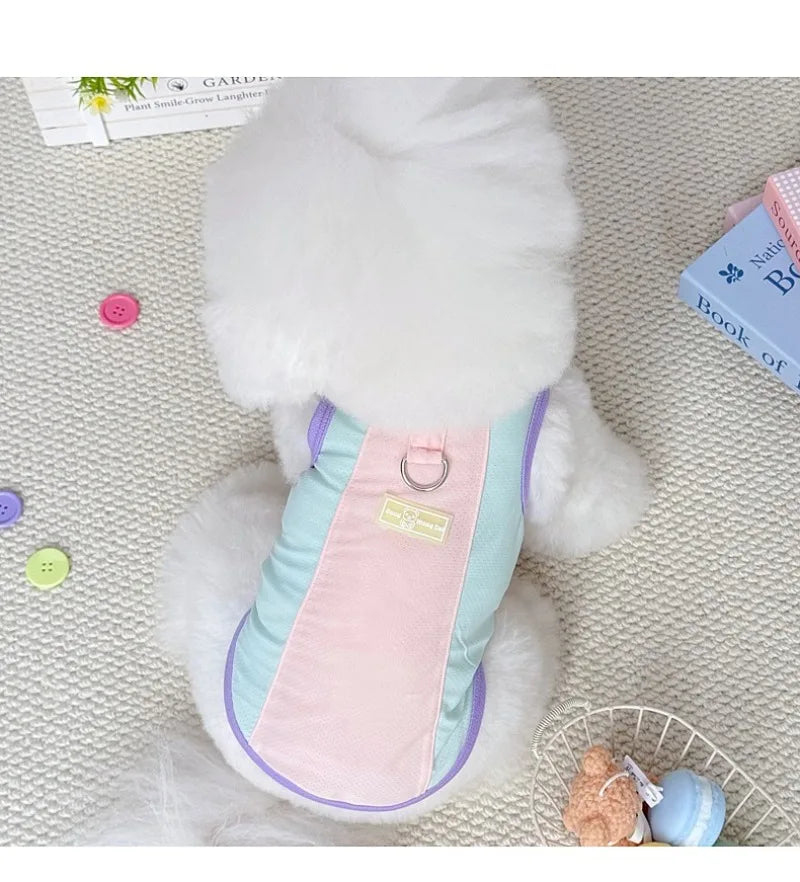 Gilet rafraîchissant réfléchissant et t-shirt d'été pour chiens et chats de petite, moyenne et grande taille