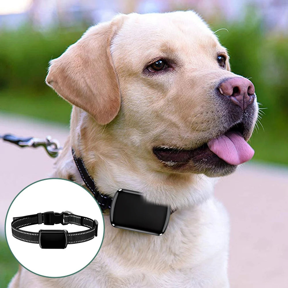 M10A 4G GPS Pet Tracker with Electronic Fence & Activity Tracking
