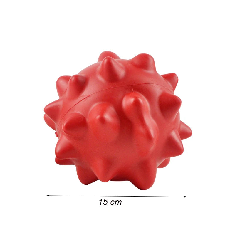 Bite-Resistant Chew Toys for Dogs