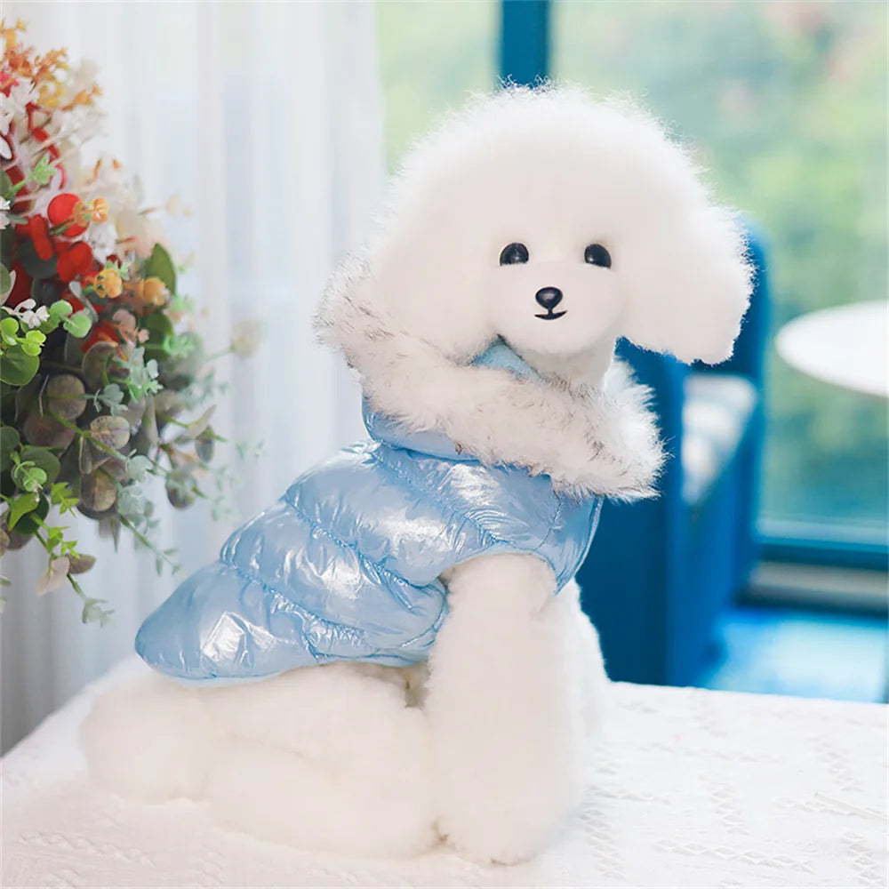 Winter Down & Fleece Dog Coat with Fur Collar for Small Dogs