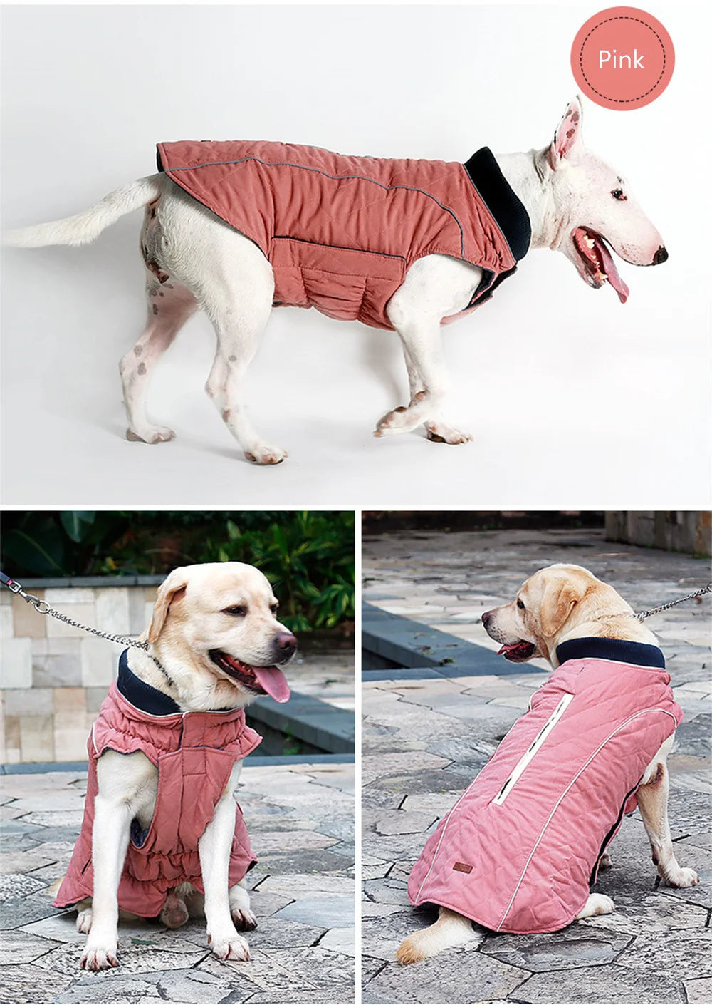 Warm Reflective Winter Jacket for Dogs — XS to 3XL