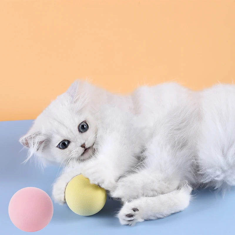 Sound Ball Cat Toy — Animal Noise Squeaky Ball for Cats & Kittens
