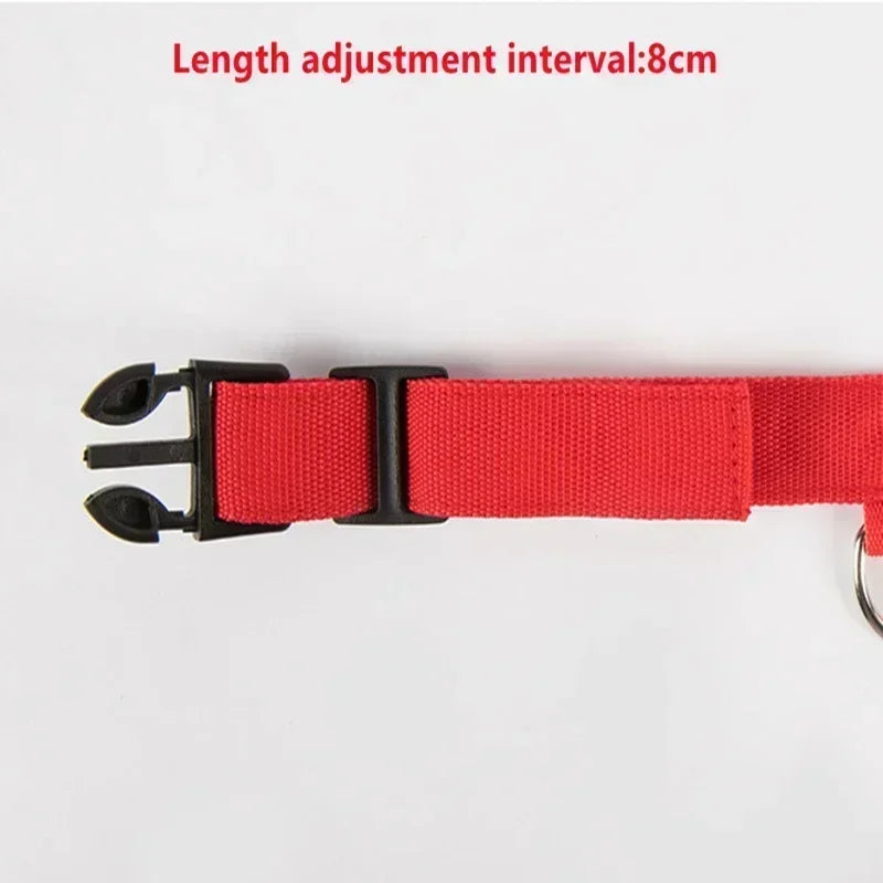 Collier lumineux LED pour chien - Réglable, clignotant, rechargeable - Collier lumineux pour la sécurité nocturne - Harnais lumineux anti-perte pour chien