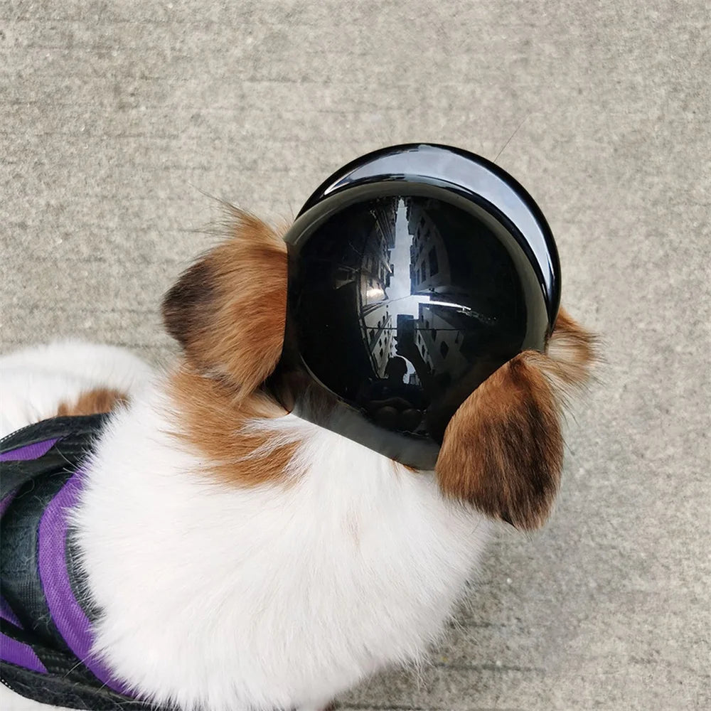 Cool Pet Dog Safety Helmet for Small Medium Dogs French Bulldog Doberman Pinscher Adjustable Motorcycle Helmets Pet Accessories