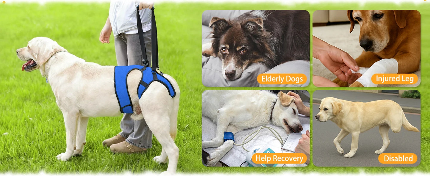 Hind Leg Support Dog Sling for Large & Senior Dogs | Adjustable Mobility Aid