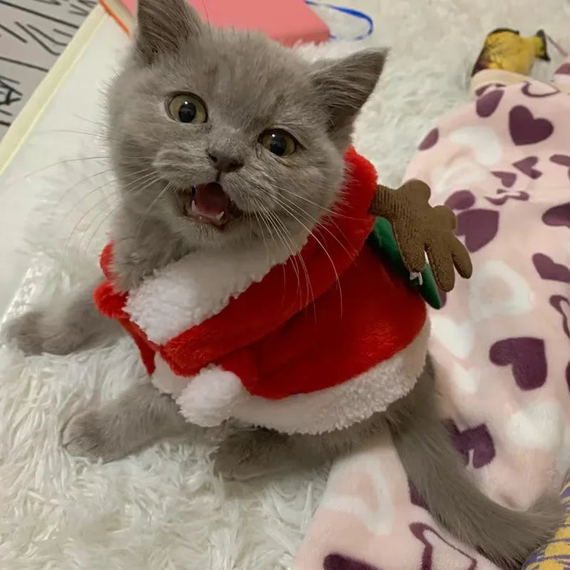 Christmas Costume for Cats & Small Dogs