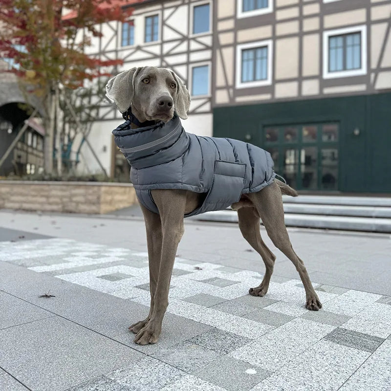 Windproof Winter Down Vest for Small Dogs