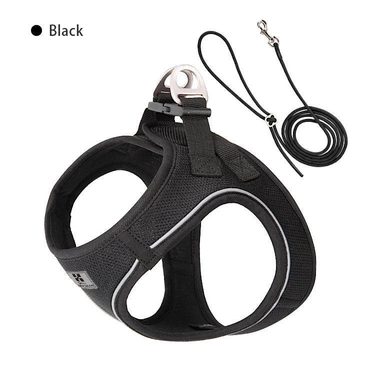 Reflective Dog & Cat Harness with Leash Set