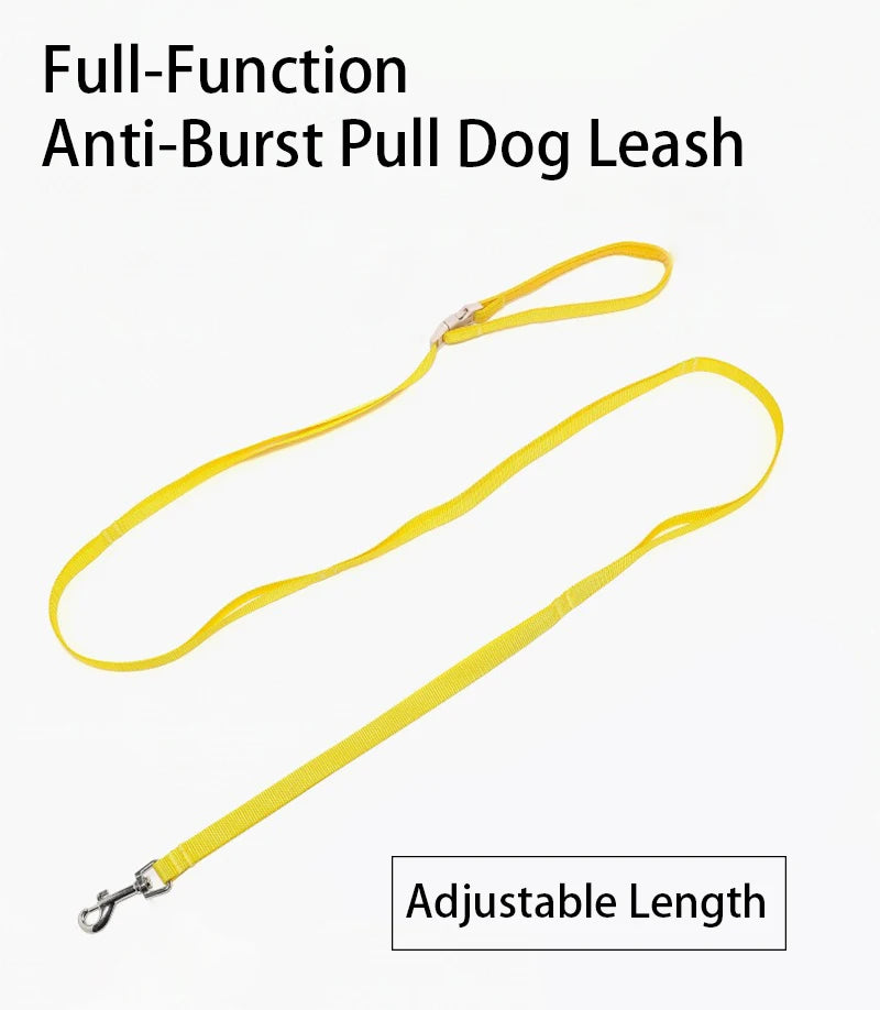 Lightweight Dog Harness & Leash Set Anti-Pull Escape-Proof Pet Walking Lead for Small Medium Large Dogs