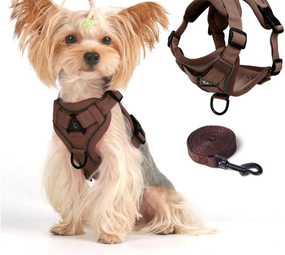 Adjustable Cat Vest Harness and Leash Set - Reflective Trim for All Sizes