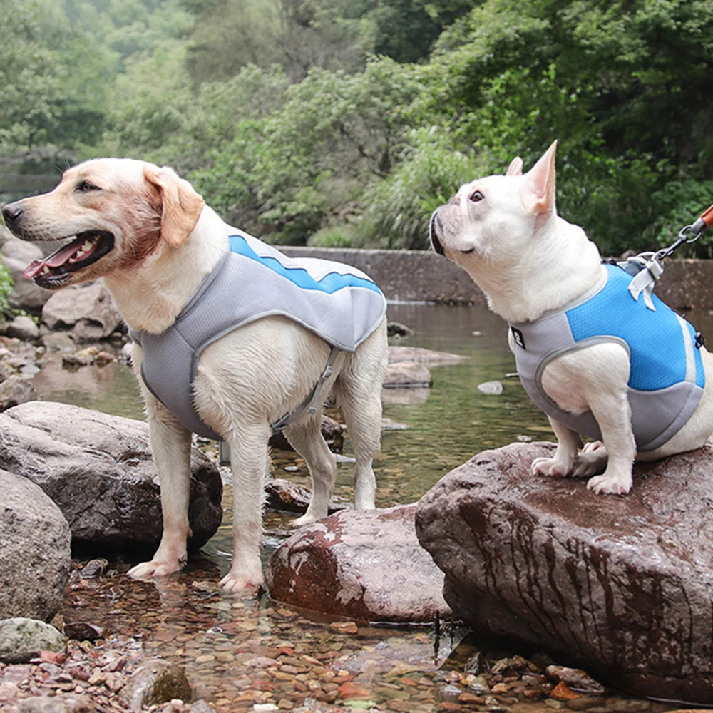 Water-Cooling Vest for Large Dogs