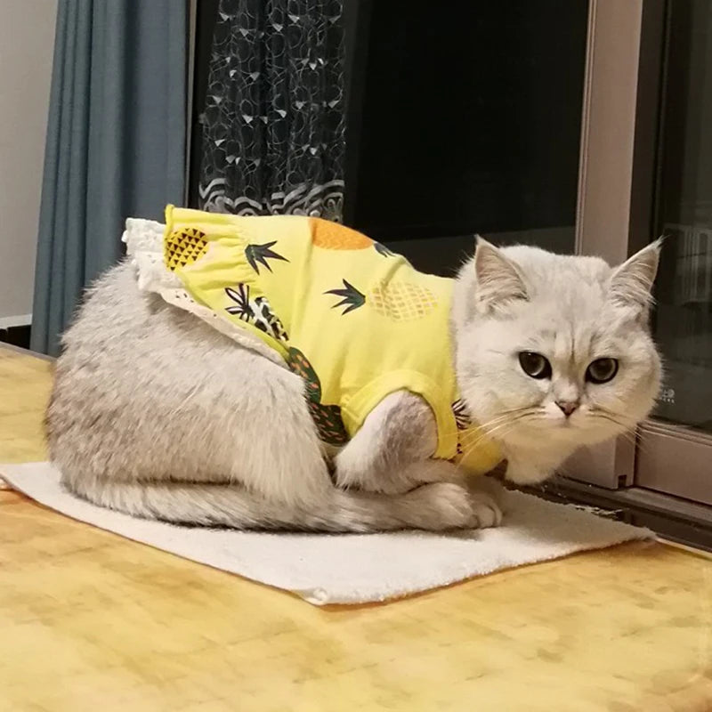 Cotton Print Dress for Cats & Small Dogs