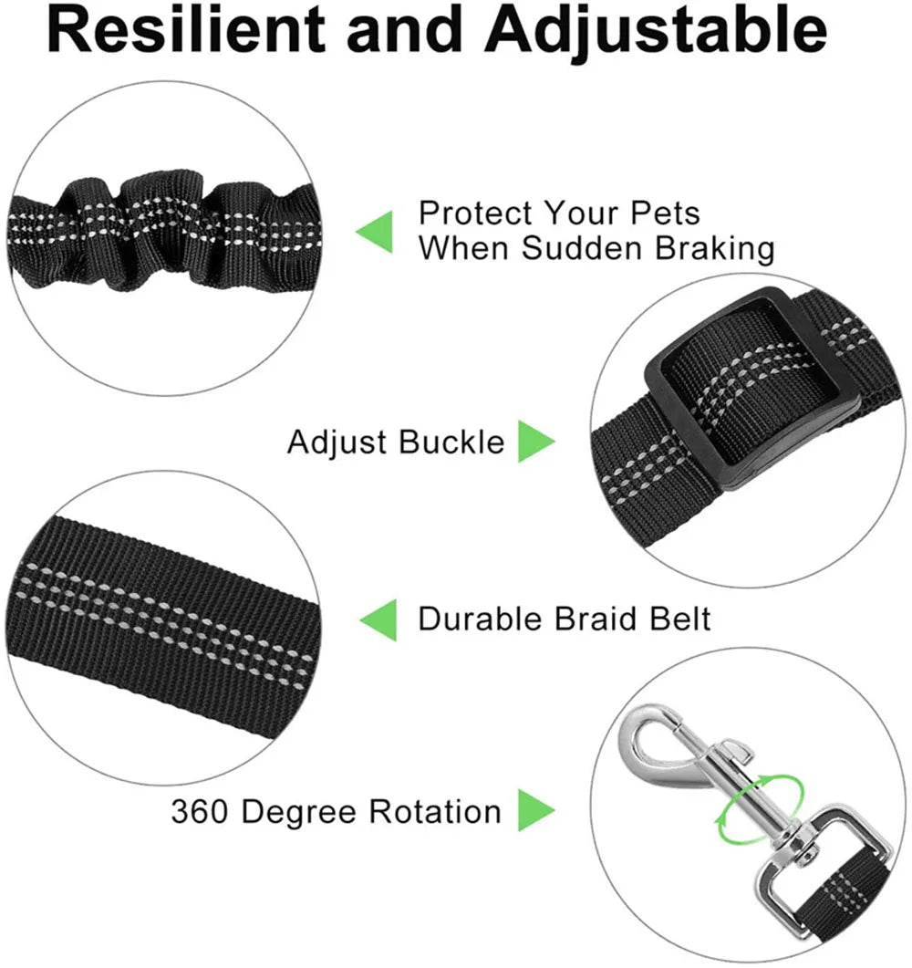 Ceinture de sécurité rétractable pour chien avec bande réfléchissante