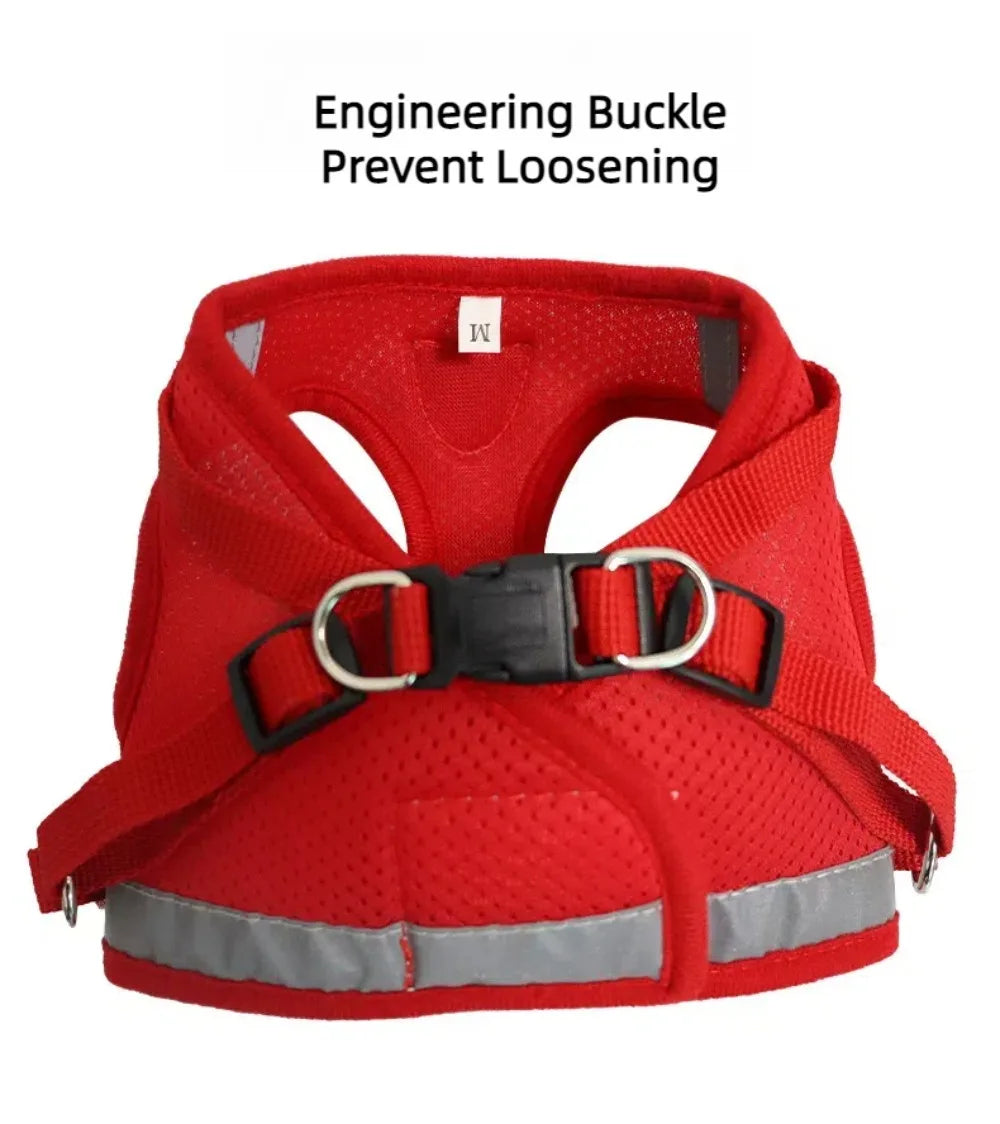 Ensemble harnais et laisse anti-évasion pour animaux de compagnie – Gilet en maille réfléchissante pour chats et petits chiens