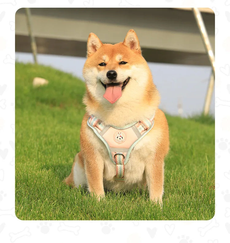 Reflective Breathable Dog Harness Vest