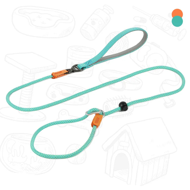Laisse de dressage 2-en-1 avec collier étrangleur intégré pour petits chiens 150cm