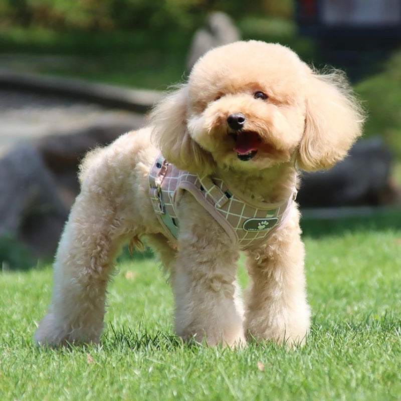 Ensemble harnais et laisse anti-évasion pour animaux de compagnie – Gilet en maille réfléchissante pour chats et petits chiens