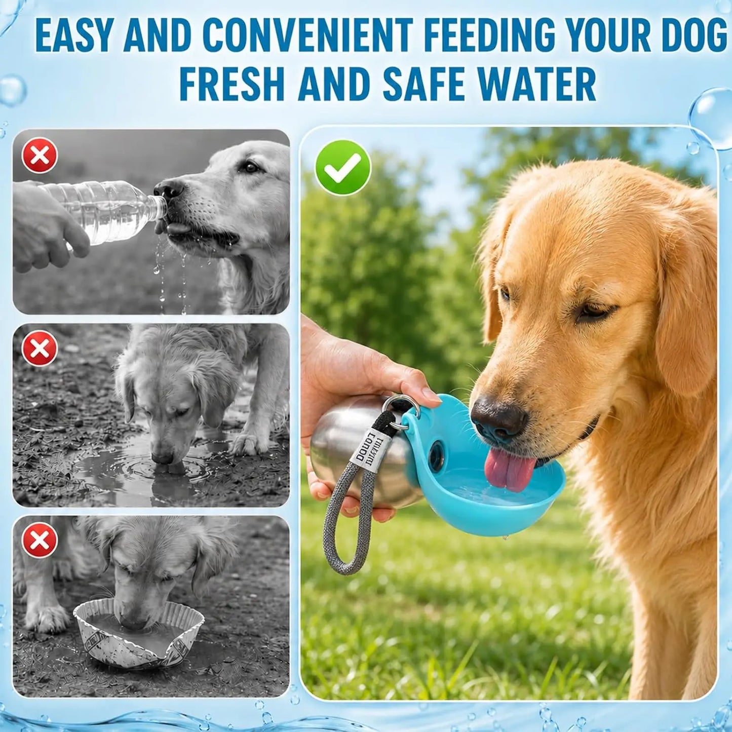 2-in-1 Stainless Steel Dog Water Bottle with Foldable Bowl