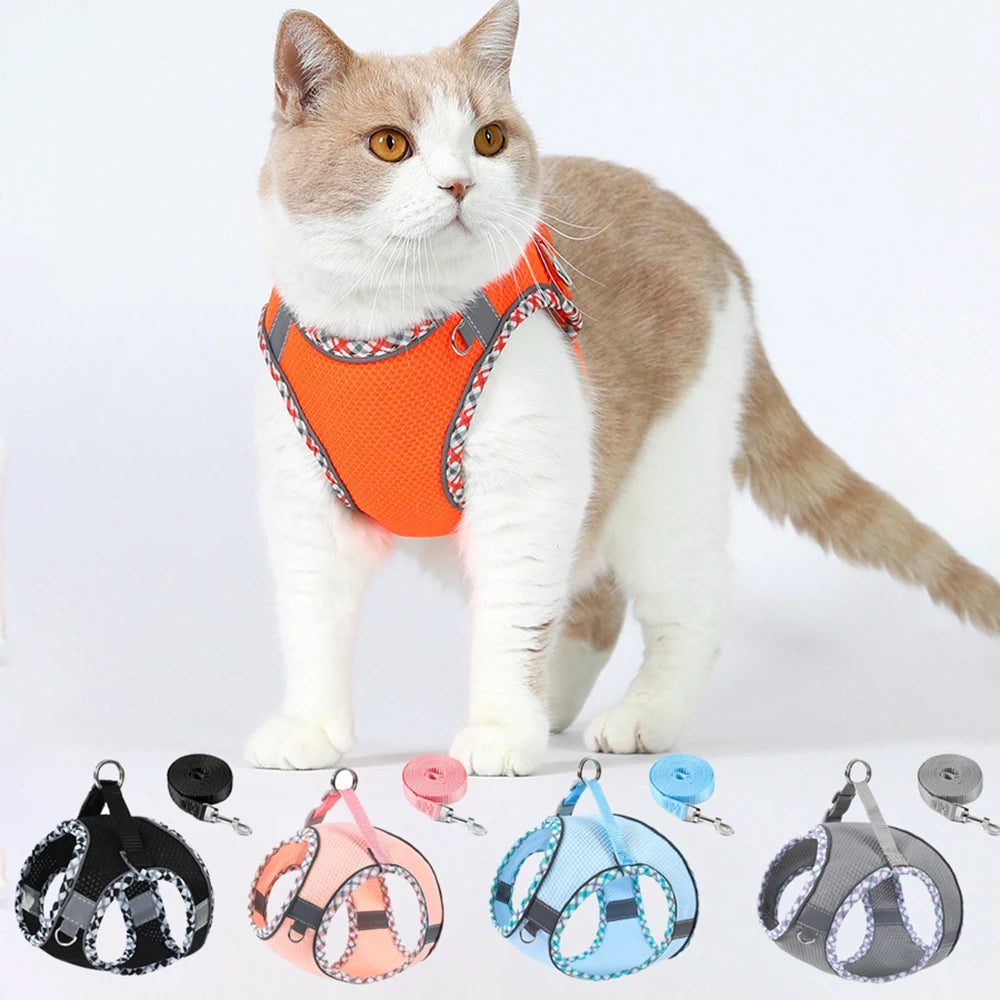 Reflective Mesh Harness & Leash Set for Cats & Small Dogs