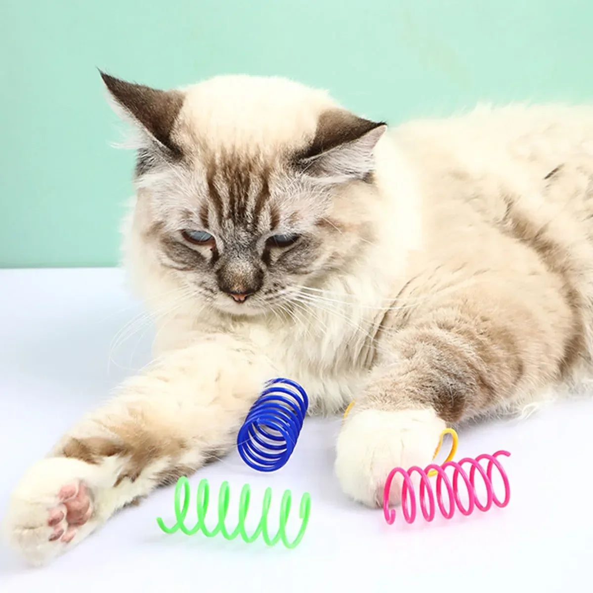 Colorful Spring Coil Cat Toys