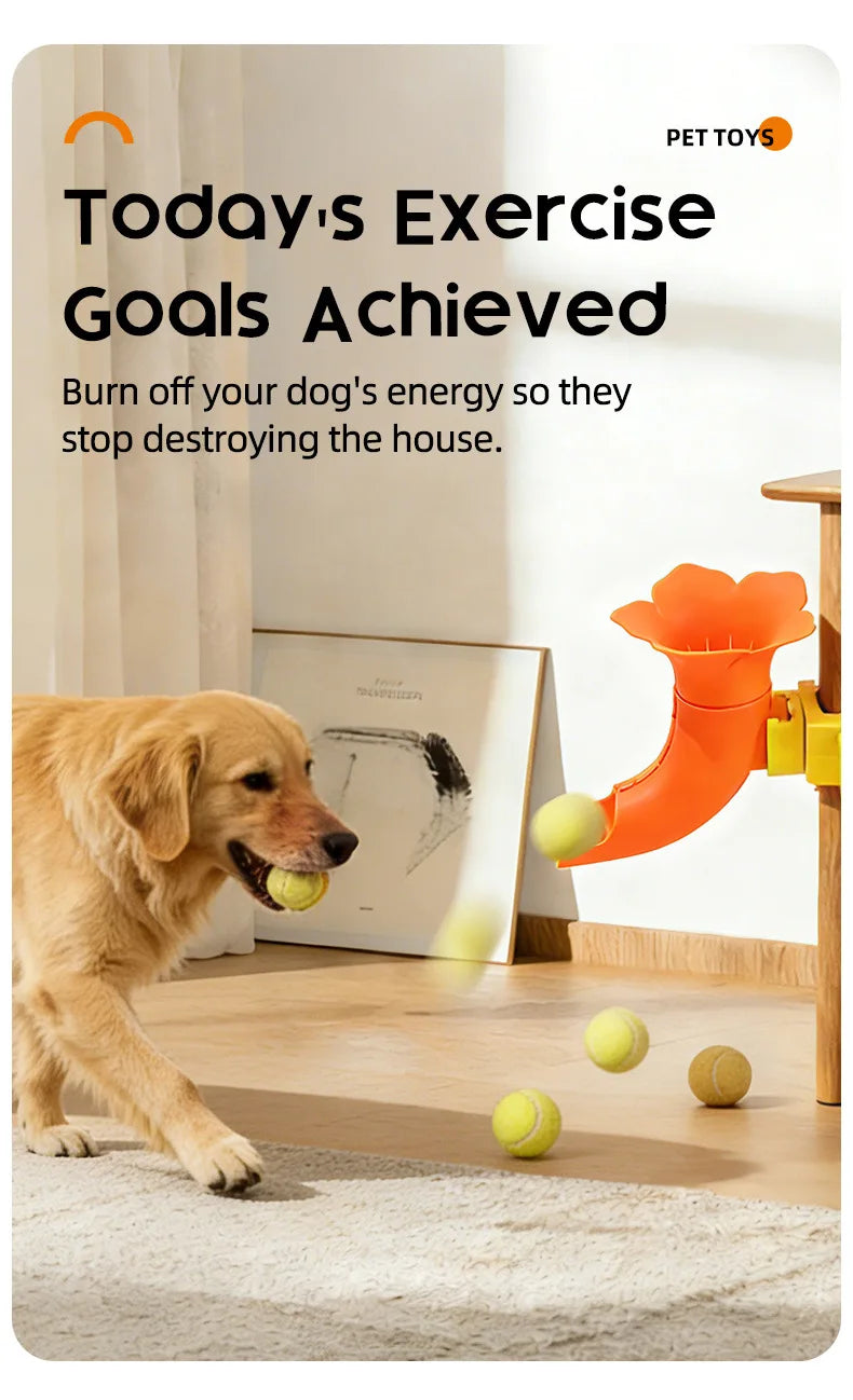 Interactive Dog Ball Trainer Toy