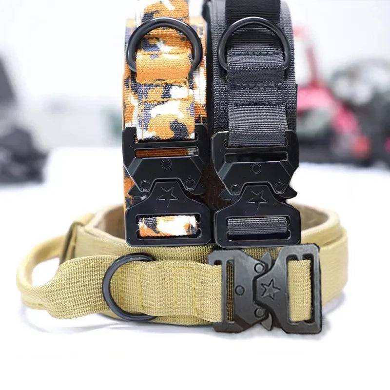 Durable Nylon Dog Collar & Leash Set for Large Dogs