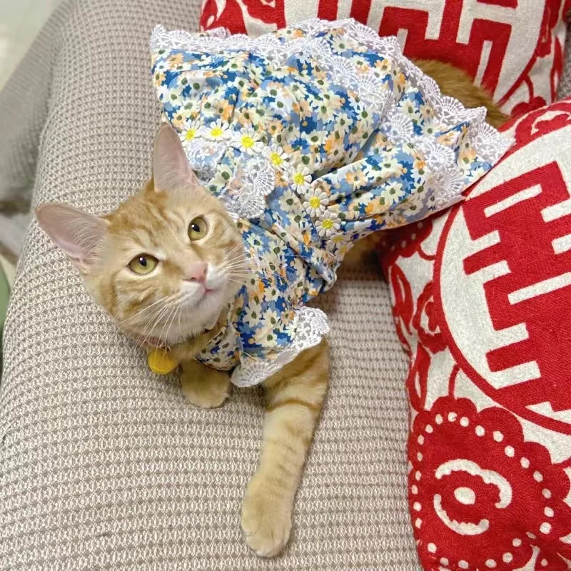 Lace Flower Princess Dress for Cats & Small Dogs