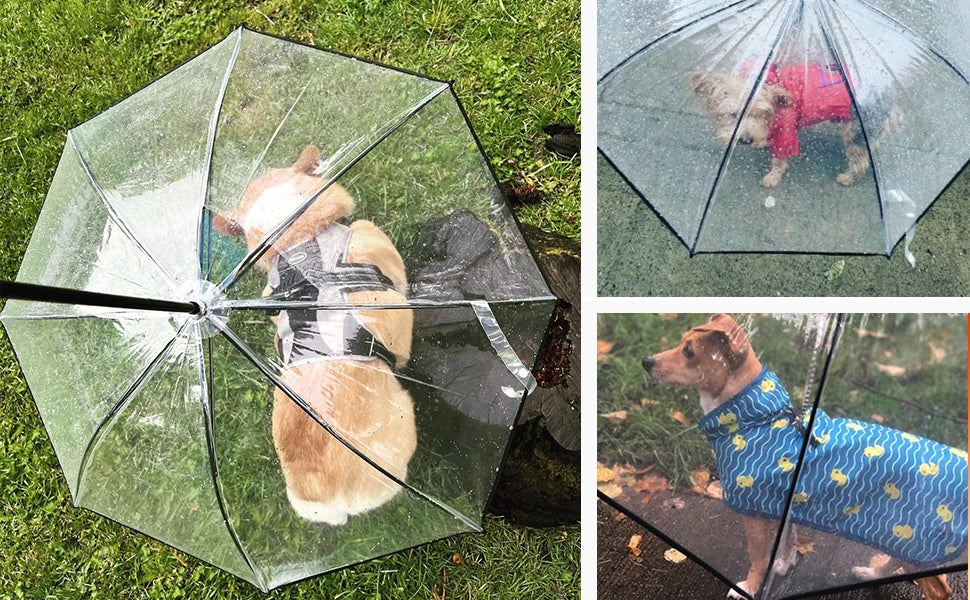 Pet Umbrella with Built-in Leash - Clear Canopy for Small Dogs and Cats