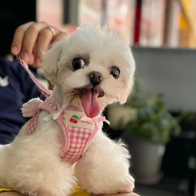 Ensemble harnais et collier en cuir de qualité supérieure pour chien