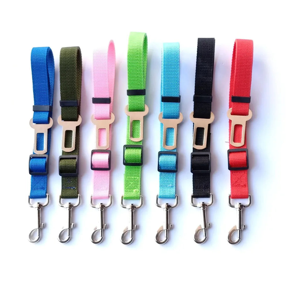 Ceinture de sécurité rétractable pour chien avec bande réfléchissante