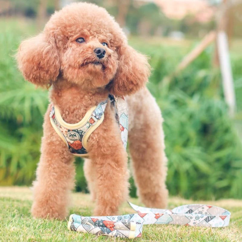 Adjustable Dog Harness & Leash Set