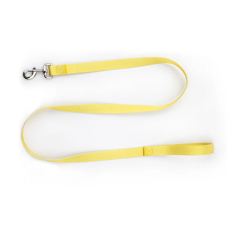Ensemble Collier et Laisse Ajustables pour Chien