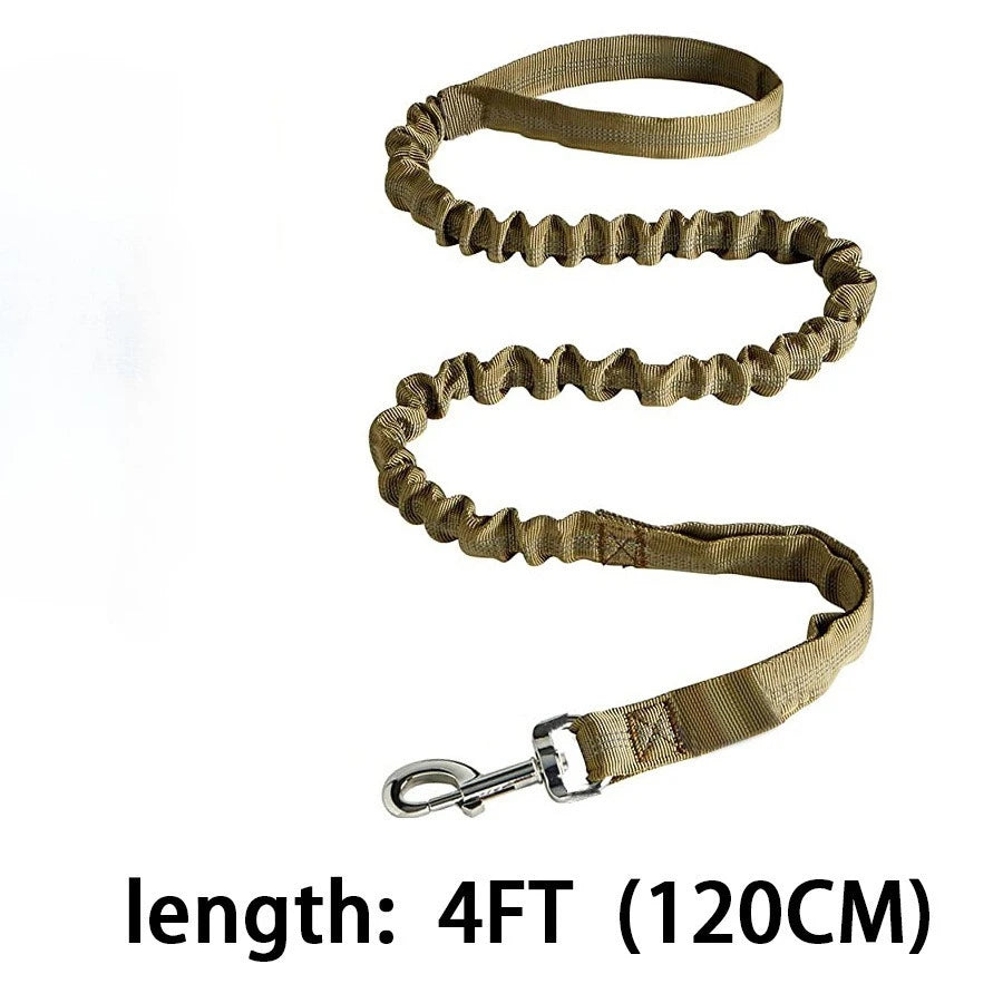Laisse de dressage élastique antichoc pour chien